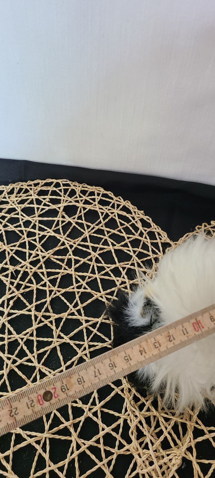 peluche chouette - photo numéro 2