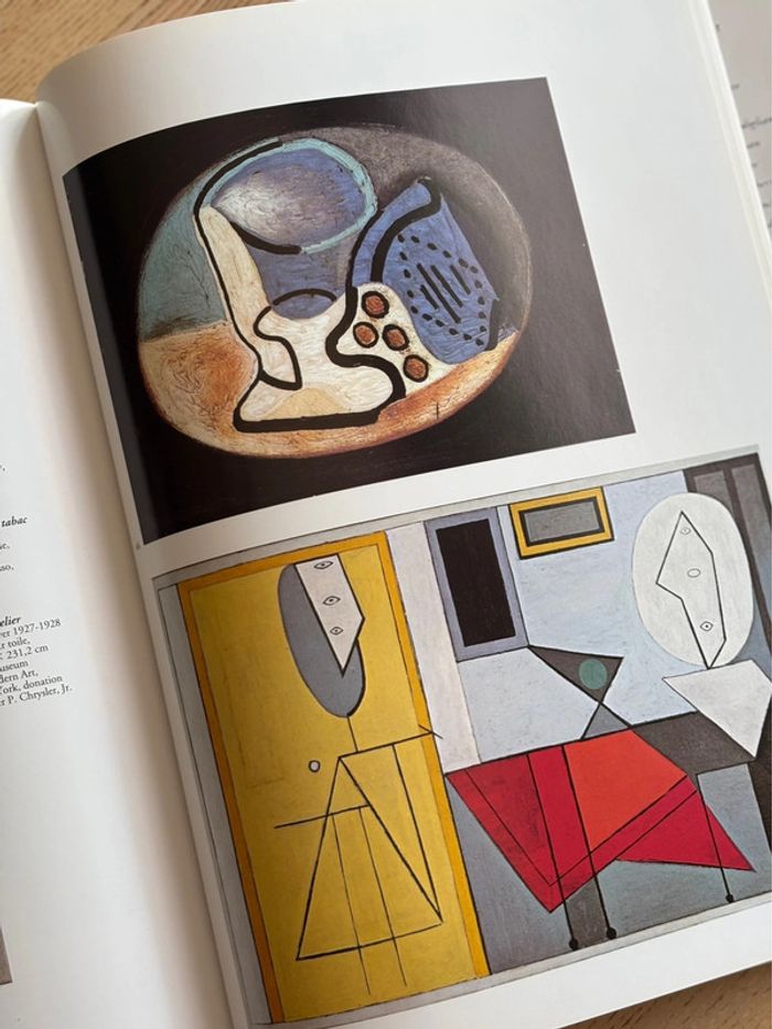 Livre Picasso - photo numéro 5