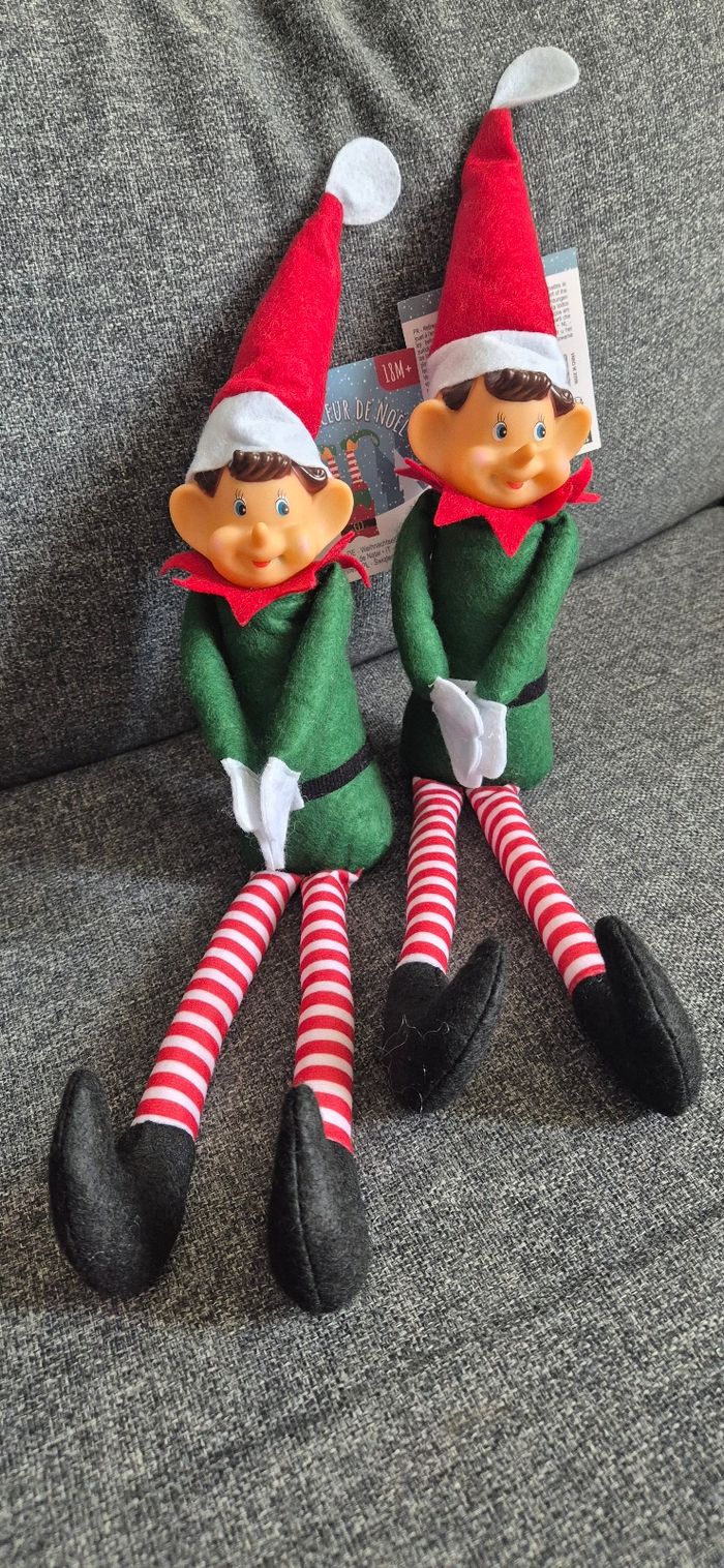 Lutin farceur - photo numéro 2