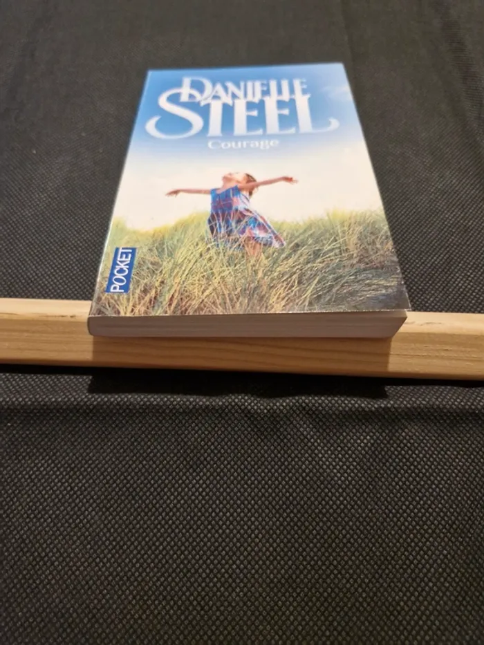 Courage - Danielle Steel - photo numéro 2