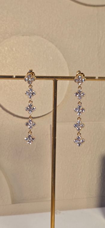 Jolies boucles d oreilles longues 