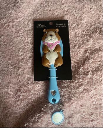 Brosse à cheveux