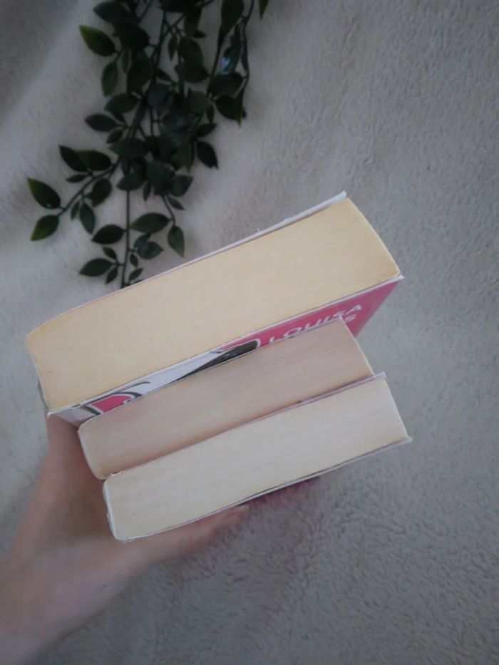 🌸Lot de 3 livres Lola, petite, grosse et exhibitionniste 🌸 - photo numéro 2