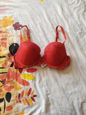 Soutien gorge 95C