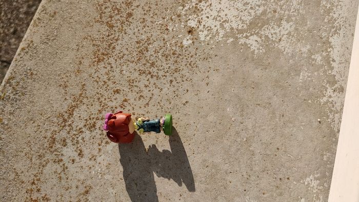 Little animator ellie - photo numéro 2