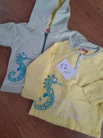 Ensemble Hippocampe mixte 12 mois