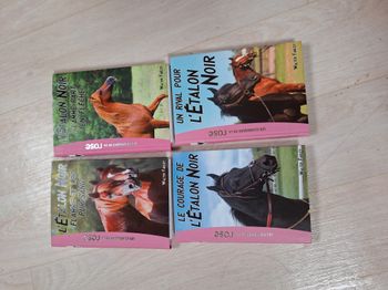 Lot de 4 livres l'étalon noir bibliothèque rose