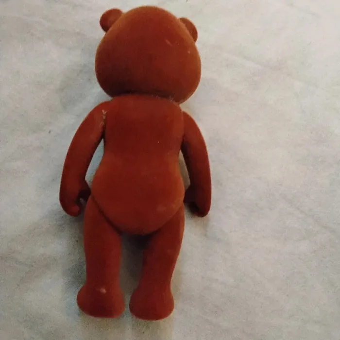 Ours 🐻 - photo numéro 2