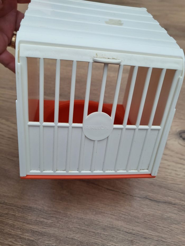 Nids canaris - photo numéro 4