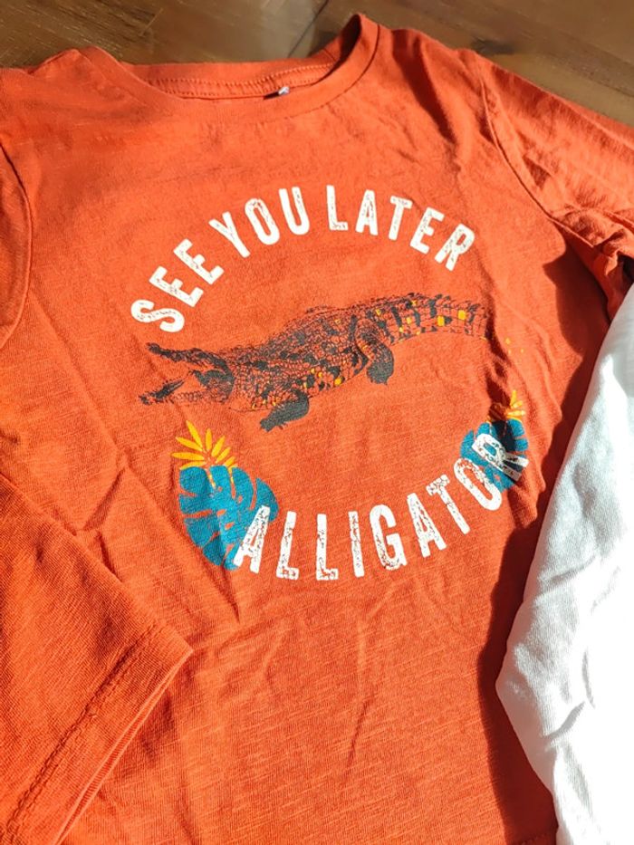 Lot de 2 tee-shirts ML 3 ans - photo numéro 2