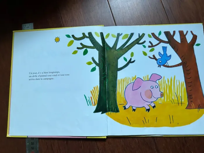 Cornicochon livre enfant - photo numéro 4