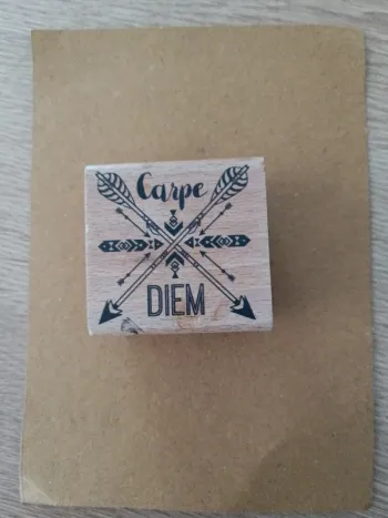 Tampon carpe diem