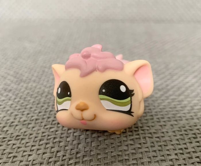 Petshop Cochon d’Inde - 2€ l’unité - photo numéro 3