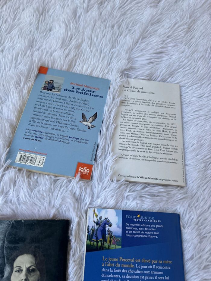 Lot de livres classique, collège et lycée - photo numéro 8