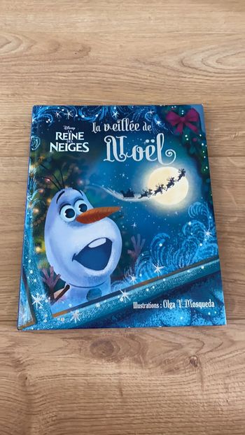 Livre reine des neiges