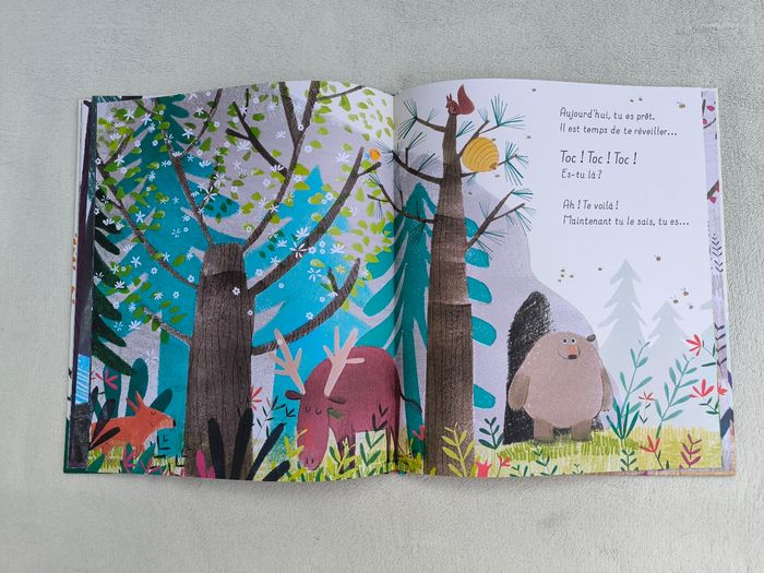 Livre Un ours est un ours Hatier - photo numéro 6
