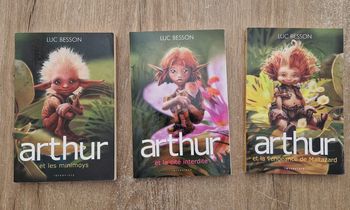 Livres Arthur et les Minimoys