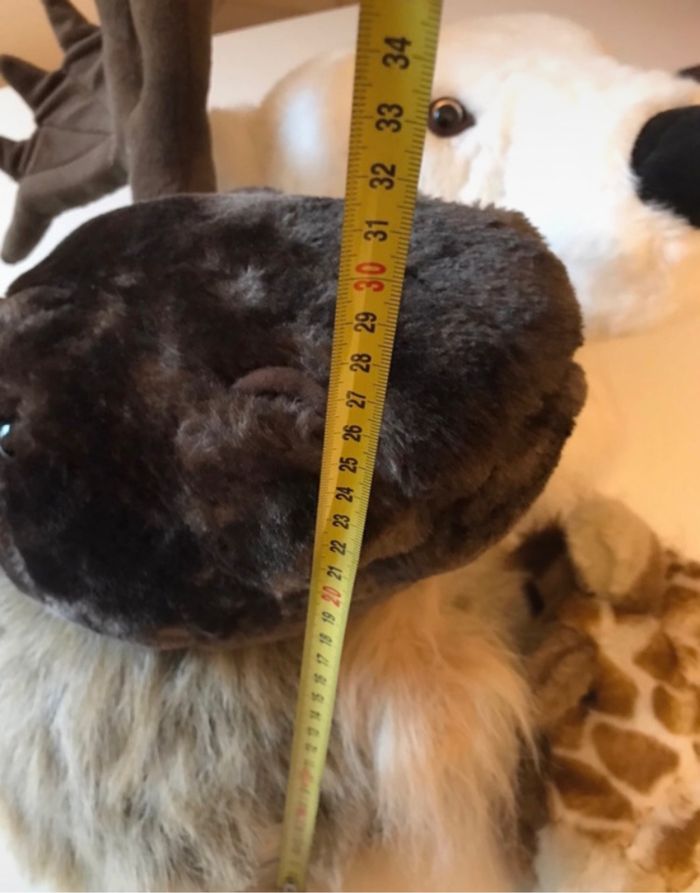 Trophée - lot de 3 - photo numéro 9