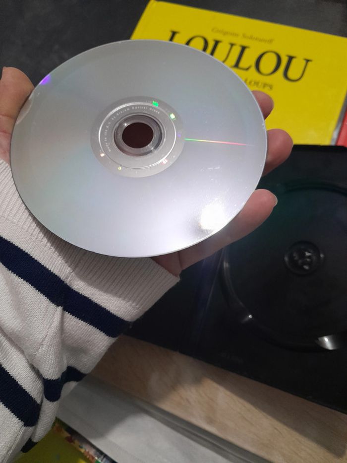 lot 2 grands albums école des loisirs + 1 dvd Loulou de Solotareff - photo numéro 11