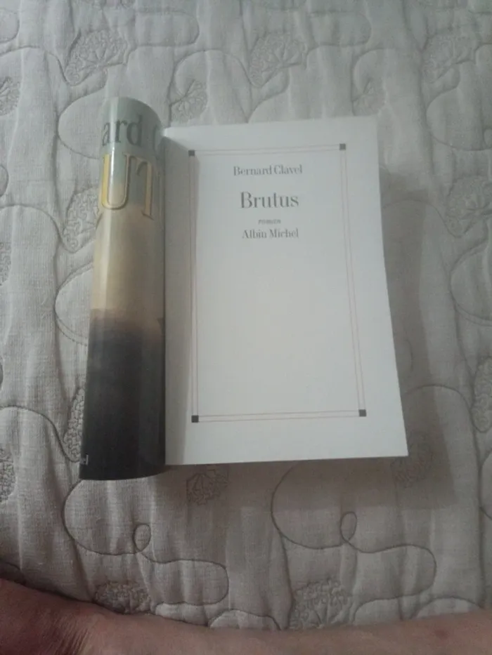 Brutus - photo numéro 2