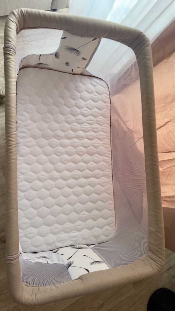 Cododo Lionel Aurora neuf - photo numéro 4