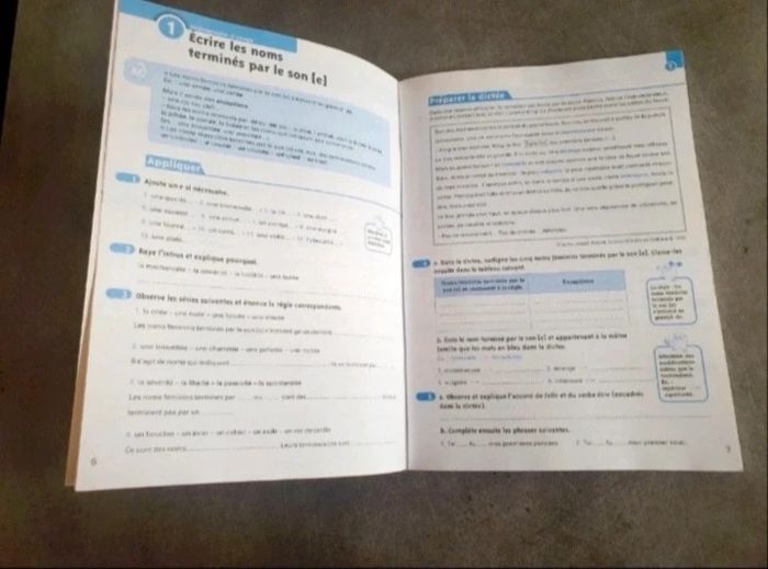 Cahier d'exercice d'orthographe 4eme Neuf - photo numéro 2