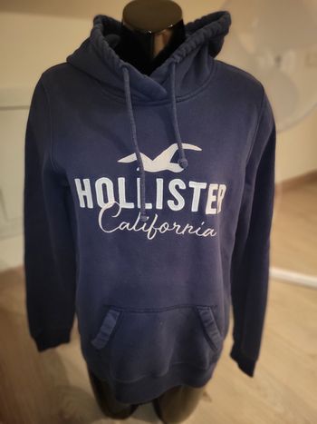 Sweat hollister