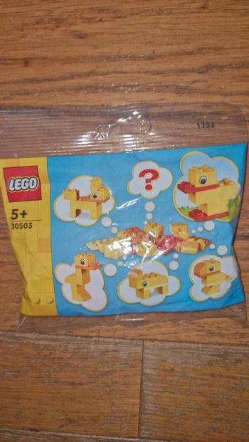 Lego 30503