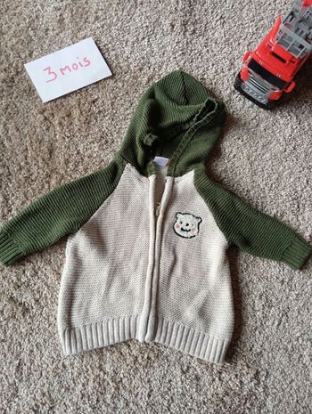Gilet a capuche 3 mois