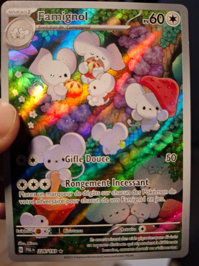 Famignol AR - Évolutions à Paldéa - photo numéro 3