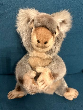 Peluche ancienne Koala 38cm Steiff Australie doudou tête rigide ancien collection