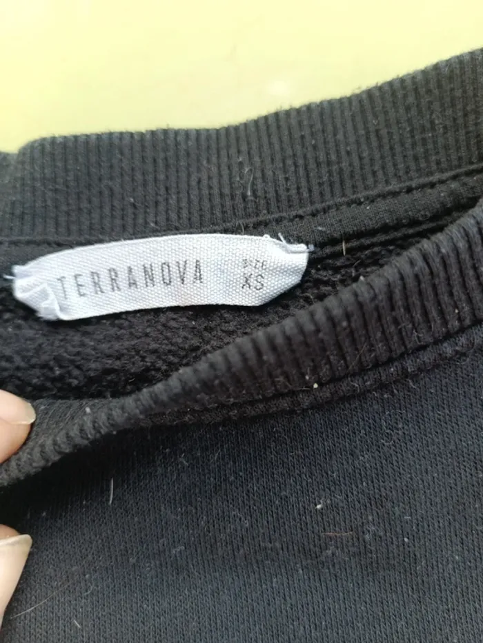 Terranova - photo numéro 2