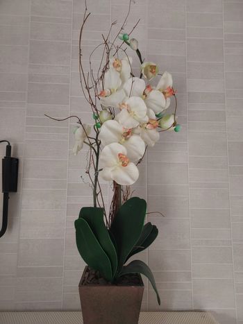 Orchidee artificielle