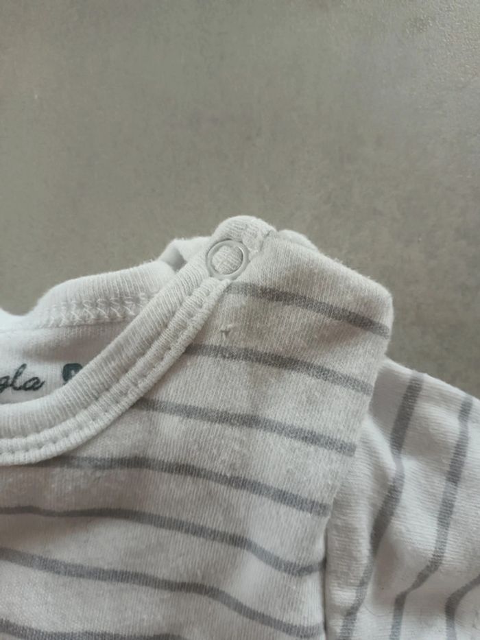 Lot body T-shirt - photo numéro 5