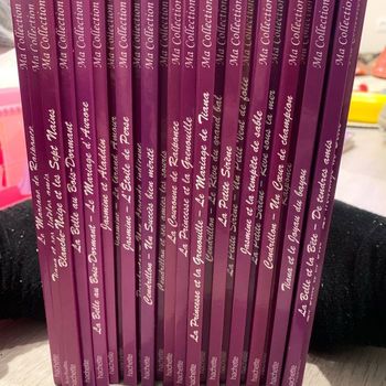 Livre princesse hachette