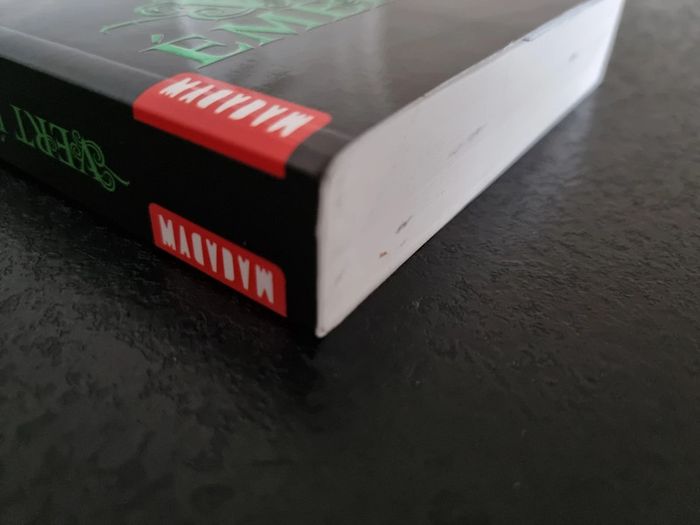 Vert Emeraude de Kerstin Gier - photo numéro 9