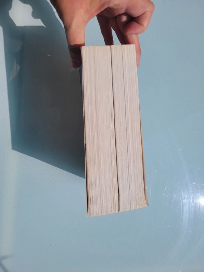 2 romans enfants grand format Le Club de l'ours Polaire tomes 1 et 2 (48) - photo numéro 8