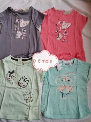 Lot de 4 tee shirt mes petits cailloux 6 mois