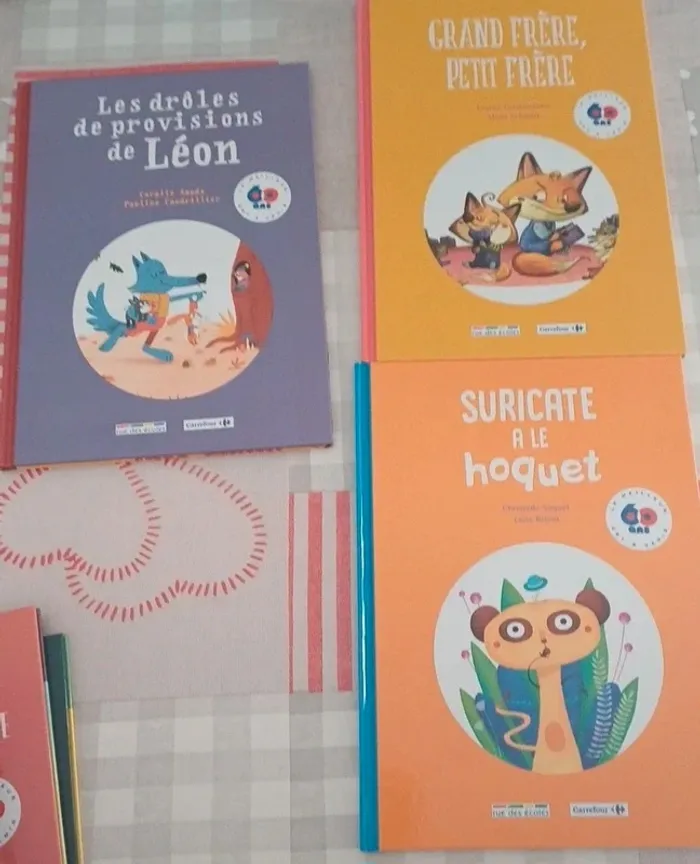 Lot de 21 livres - photo numéro 20