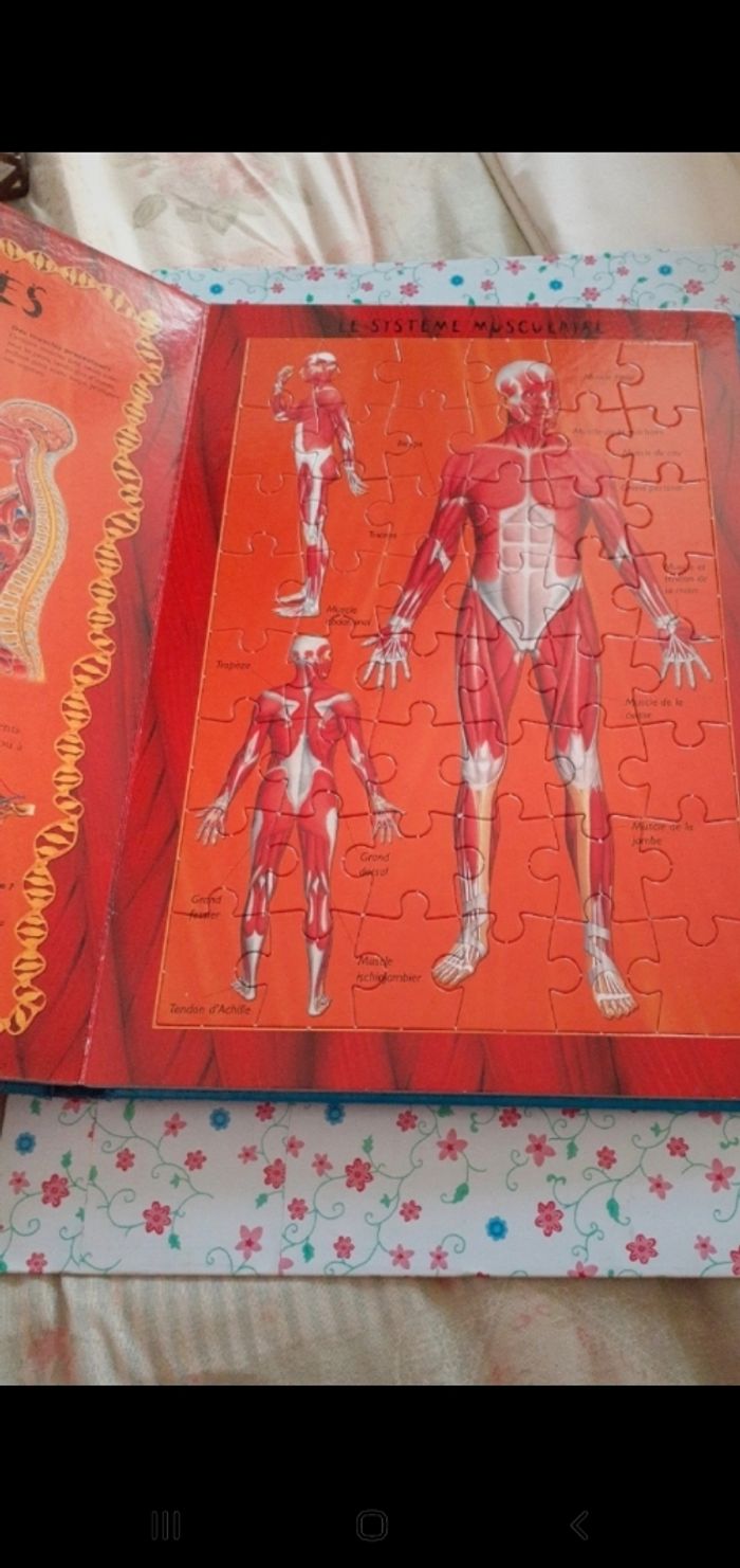 Livre 5 puzzles le corps humain - photo numéro 6