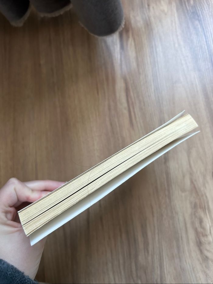 Livre de Tahar Ben Jelloun «Au pays» Folio - photo numéro 6