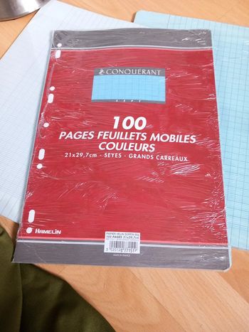 Feuilles simples grand format bleu