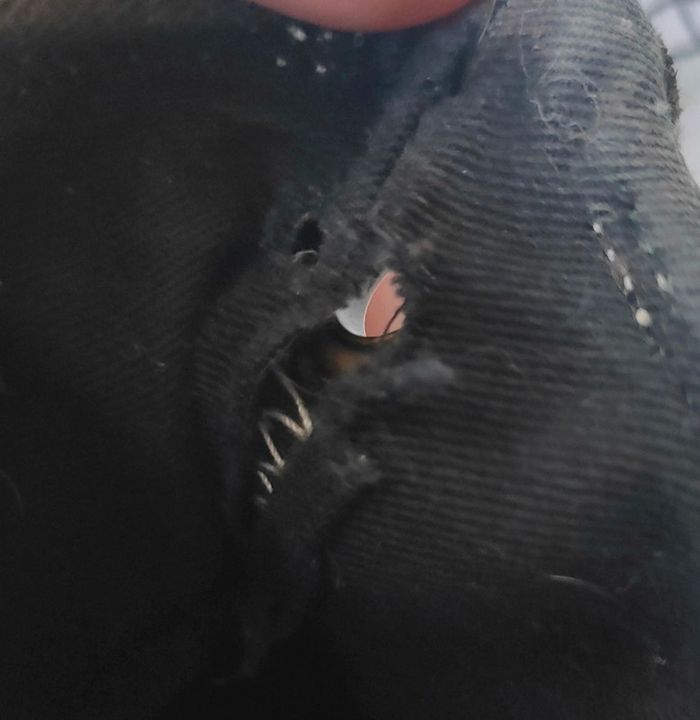 Converse noir taille 37 - photo numéro 6