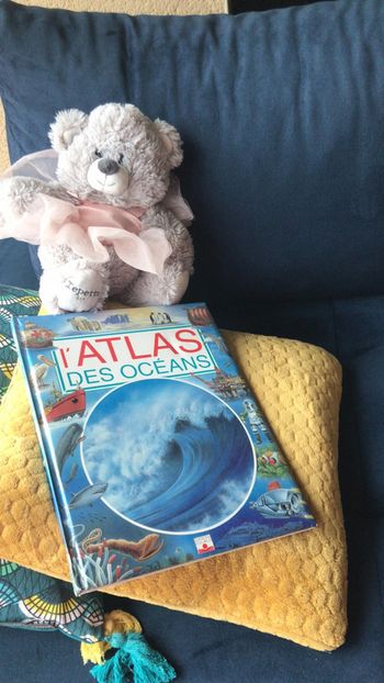 L Atlas des océans
