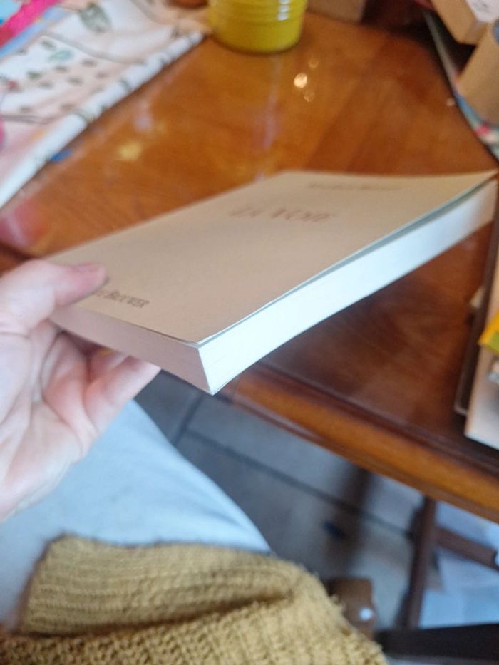 La voie le livre - photo numéro 4