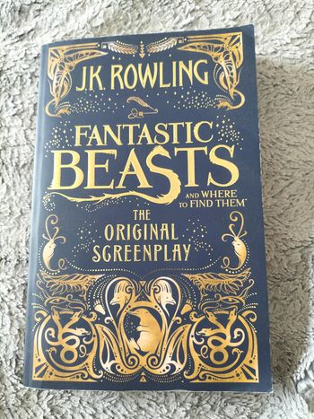 Livre / book : fantastic beasts and where ton find them, the original screenplay - JK Rowling