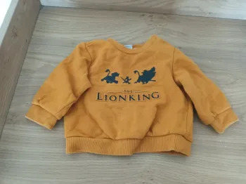 Pull bébé roi lion
