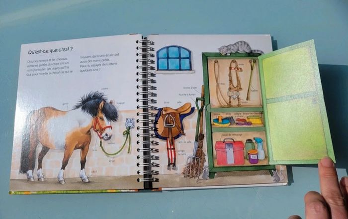 Livre animé à volets Les P'tits Juniors : 🐴 Les Poneys 🧲 35 - photo numéro 8