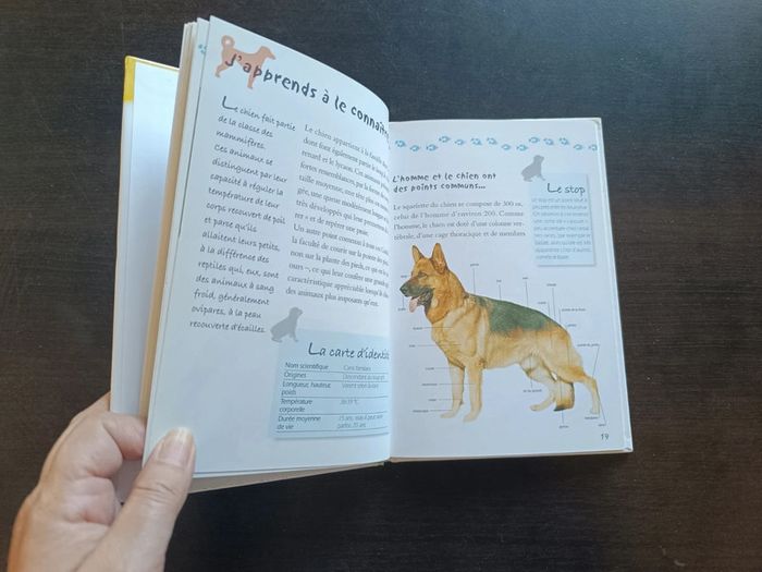 Livre MON... CHIEN - photo numéro 6