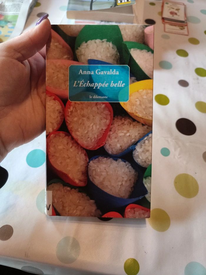 L'échappée belle de Anna gavalda